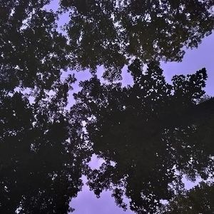 Meet your Posher, Ellei